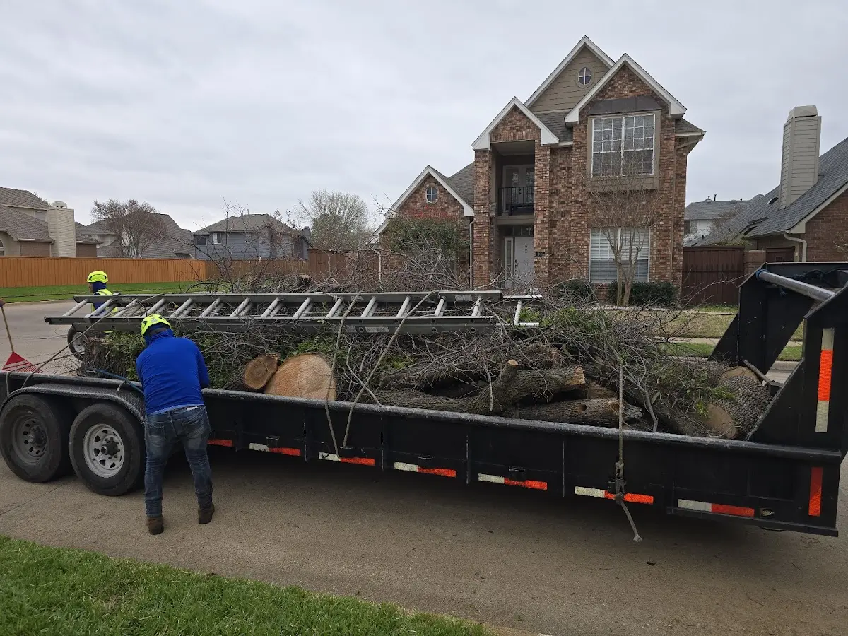 Expert Tree Pest Control with proper safety equipment in East Hickory
